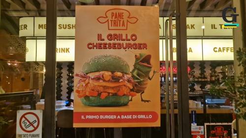 A Milano sbarcano gli "hamburger" di farina di grillo